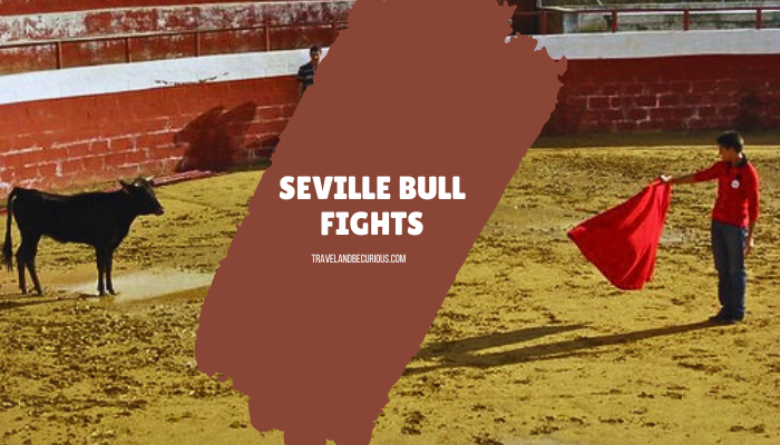 Sevilla bull fights